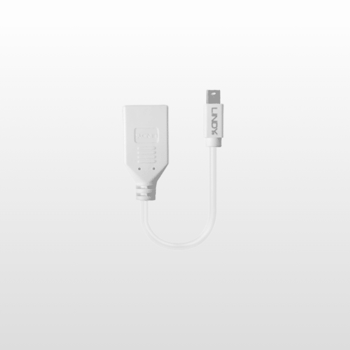 Adpatador Lindy mini Displayport to Displayport  Branco
